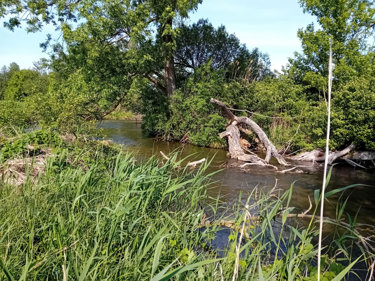 Wanderung im Grünen